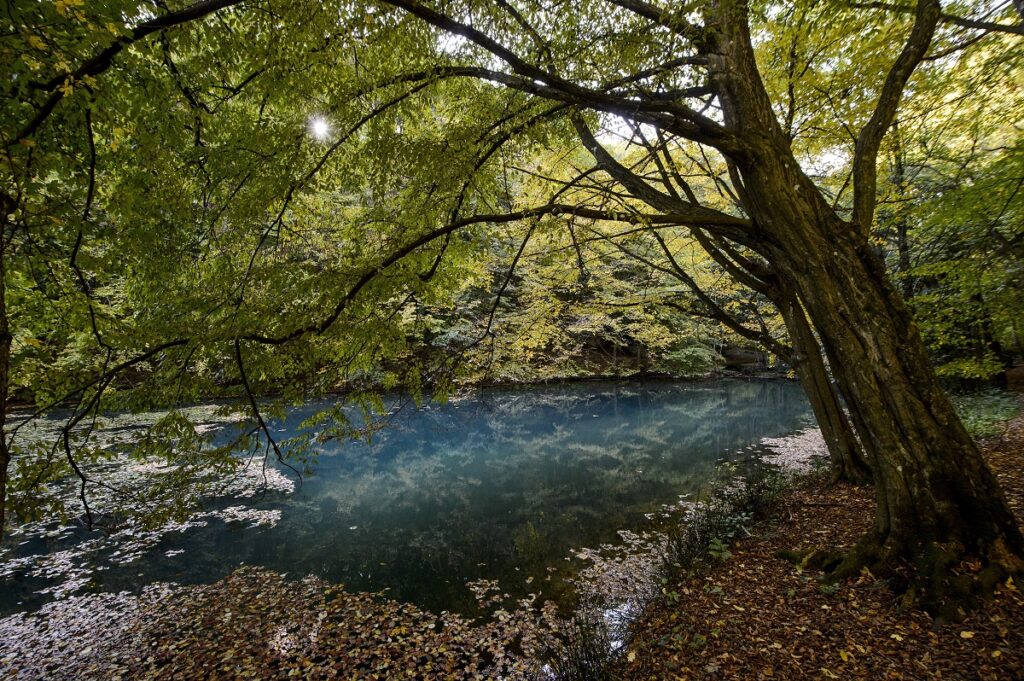 Gyerekkel a Bükkben